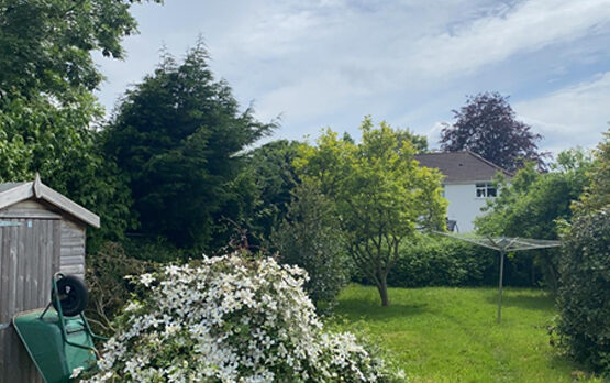 Garden-Bronksea